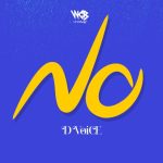 D Voice – NO