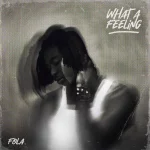 FOLA – Who Does That? Ft. Bella Shmurda