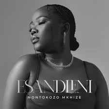 Nontokozo Mkhize – Esandleni