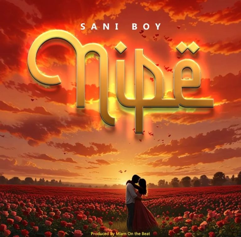 Sani Boy – Nipe