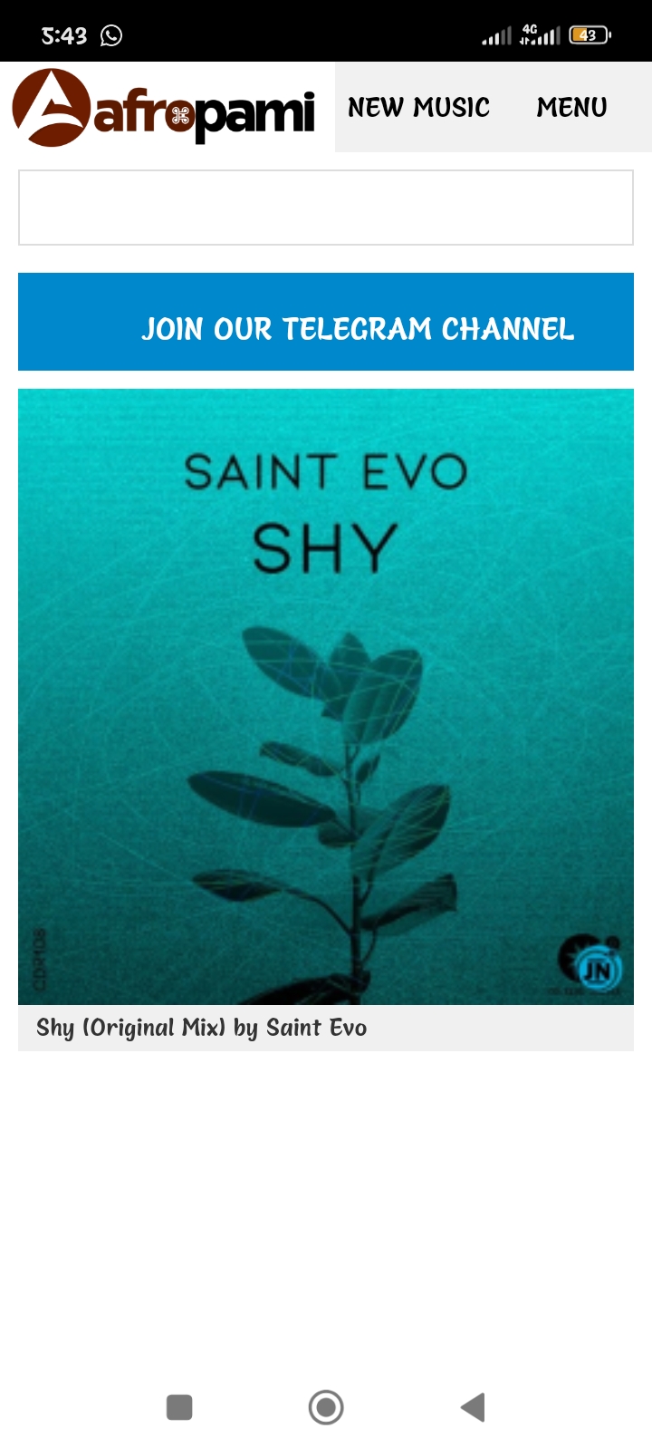 Saint Evo – Shy (Original Mix)